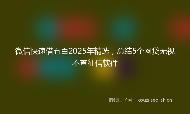 微信快速借五百2025年精选，总结5个网贷无视不查征信软件