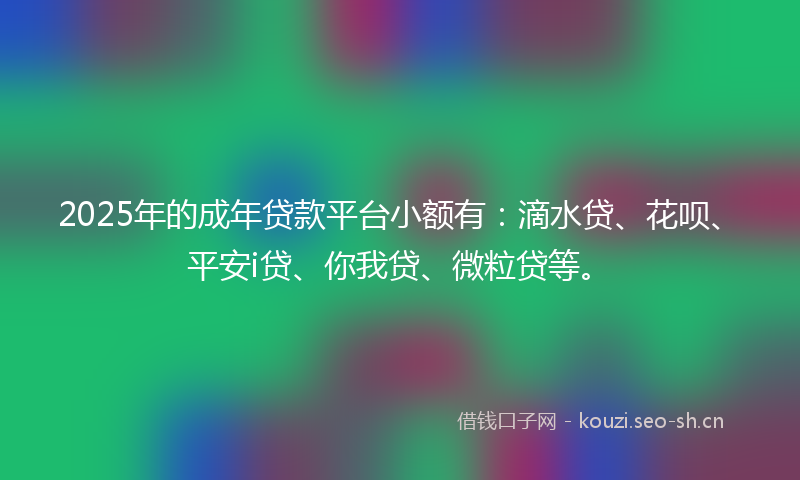2025年的成年贷款平台小额有：滴水贷、花呗、平安i贷、你我贷、微粒贷等。