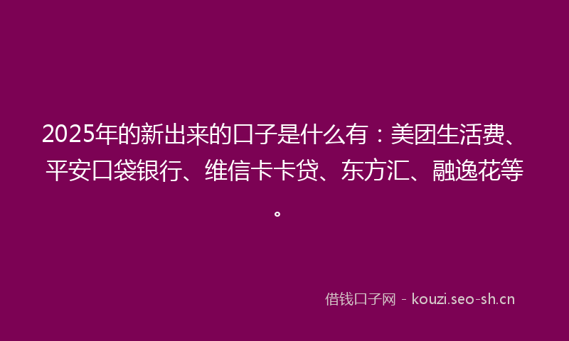 2025年的新出来的口子是什么有：美团生活费、平安口袋银行、维信卡卡贷、东方汇、融逸花等。