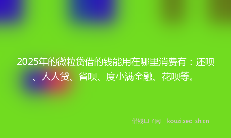 2025年的微粒贷借的钱能用在哪里消费有：还呗、人人贷、省呗、度小满金融、花呗等。