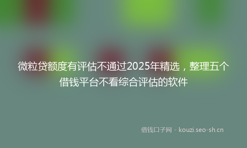 微粒贷额度有评估不通过2025年精选，整理五个借钱平台不看综合评估的软件