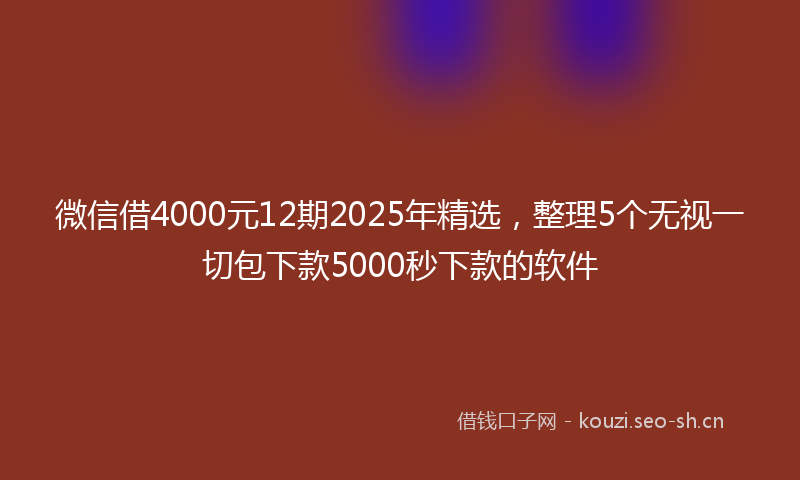 微信借4000元12期2025年精选，整理5个无视一切包下款5000秒下款的软件