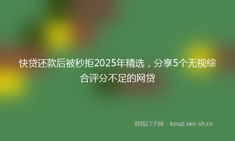 快贷还款后被秒拒2025年精选，分享5个无视综合评分不足的网贷