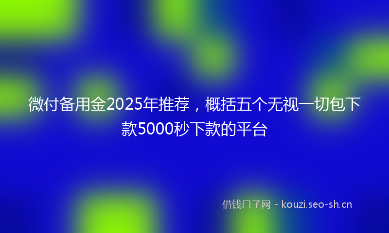 微付备用金2025年推荐，概括五个无视一切包下款5000秒下款的平台