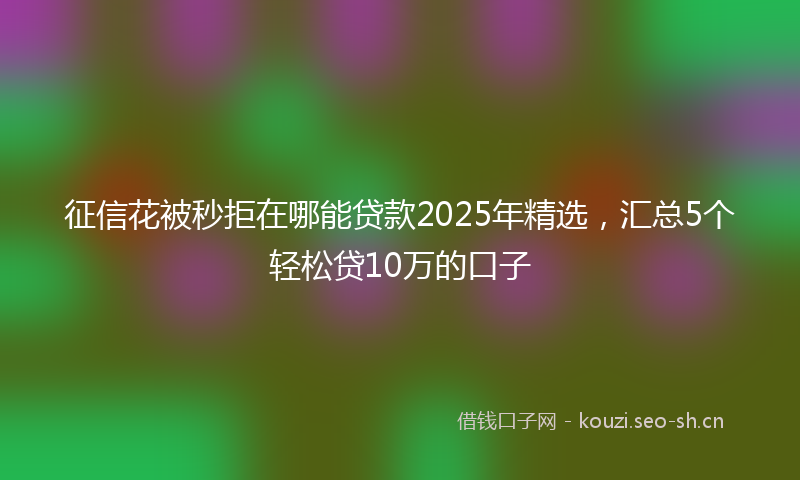 征信花被秒拒在哪能贷款2025年精选，汇总5个轻松贷10万的口子