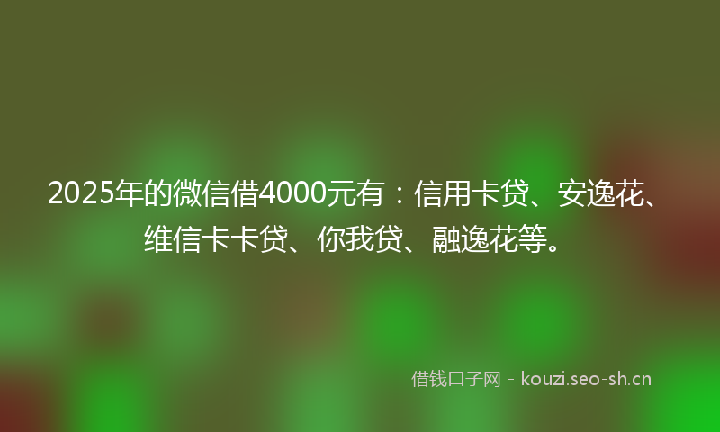 2025年的微信借4000元有:信用卡贷、安逸花、维信卡卡贷、你我贷、融逸花等。