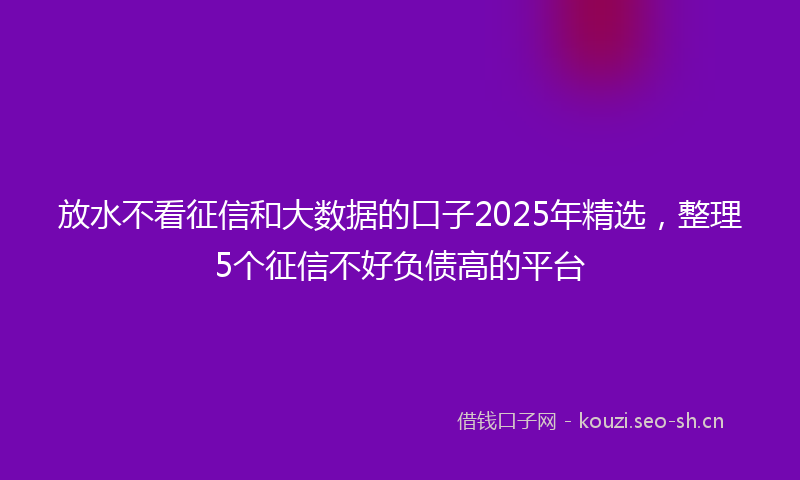 放水不看征信和大数据的口子2025年精选，整理5个征信不好负债高的平台