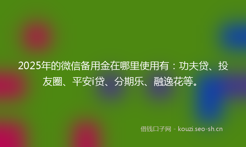 2025年的微信备用金在哪里使用有：功夫贷、投友圈、平安i贷、分期乐、融逸花等。
