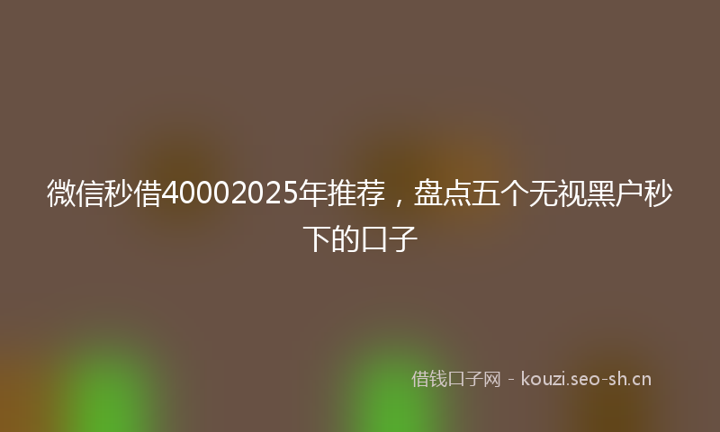 微信秒借40002025年推荐，盘点五个无视黑户秒下的口子