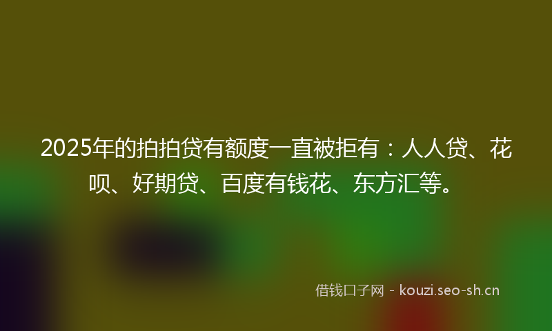 2025年的拍拍贷有额度一直被拒有:人人贷、花呗、好期贷、百度有钱花、东方汇等。