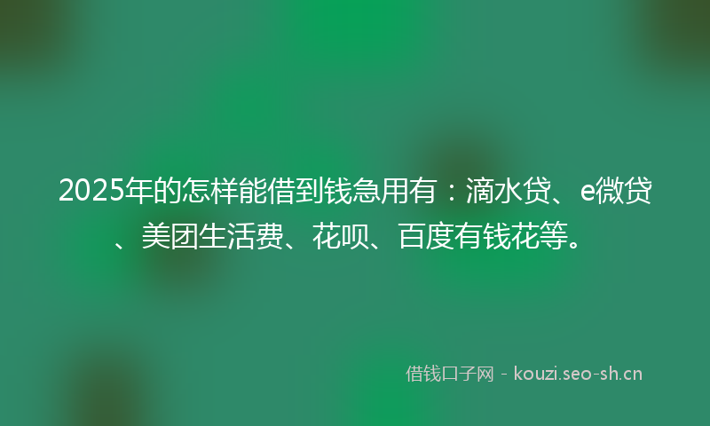 2025年的怎样能借到钱急用有：滴水贷、e微贷、美团生活费、花呗、百度有钱花等。