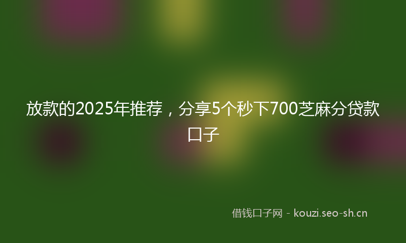 放款的2025年推荐，分享5个秒下700芝麻分贷款口子