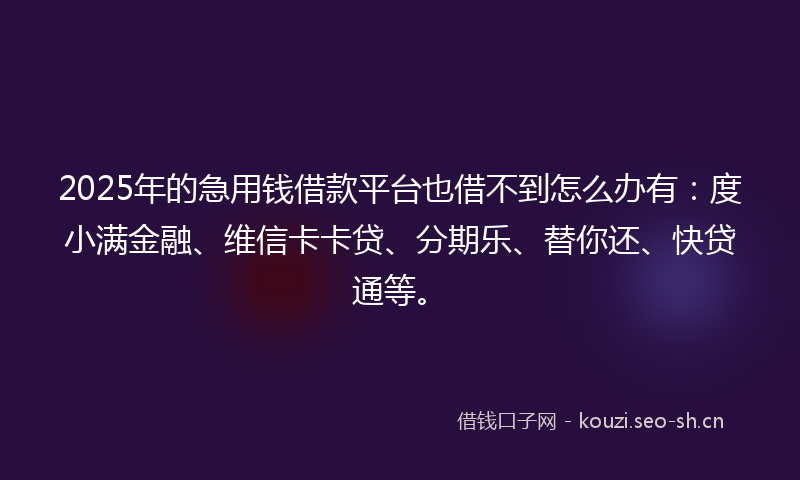 2025年的急用钱借款平台也借不到怎么办有：度小满金融、维信卡卡贷、分期乐、替你还、快贷通等。