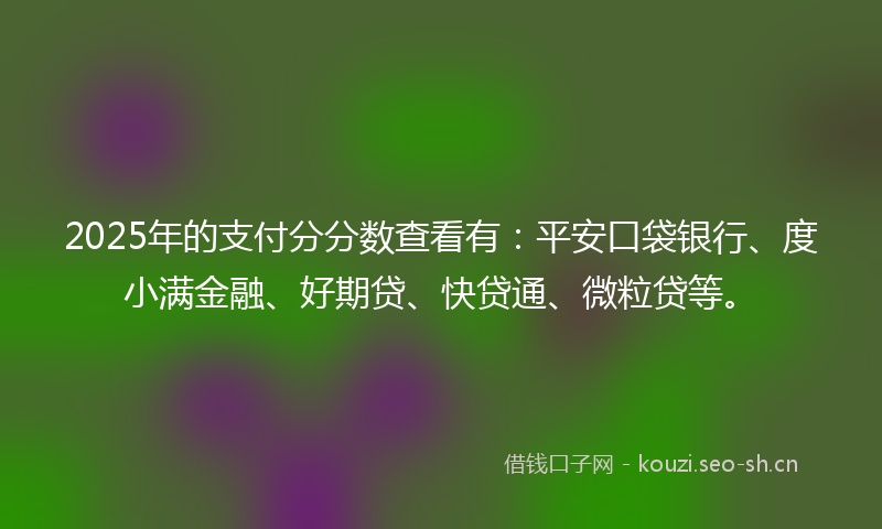 2025年的支付分分数查看有:平安口袋银行、度小满金融、好期贷、快贷通、微粒贷等。