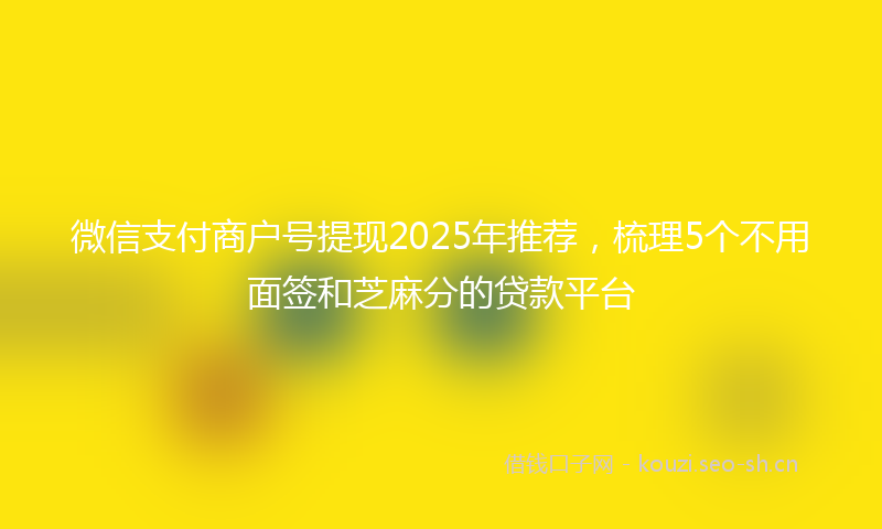 微信支付商户号提现2025年推荐，梳理5个不用面签和芝麻分的贷款平台