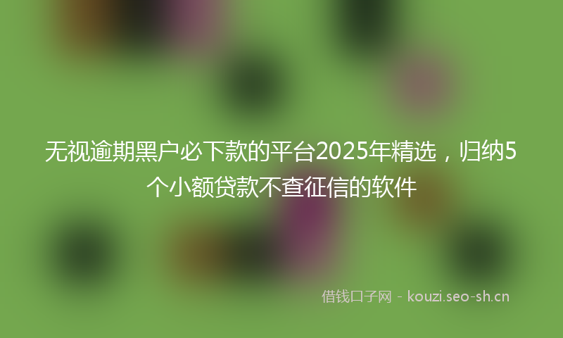 无视逾期黑户必下款的平台2025年精选，归纳5个小额贷款不查征信的软件