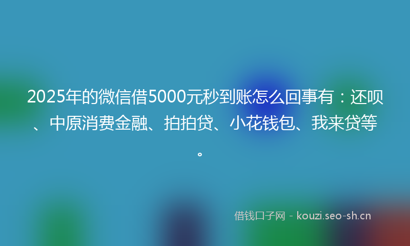2025年的微信借5000元秒到账怎么回事有：还呗、中原消费金融、拍拍贷、小花钱包、我来贷等。