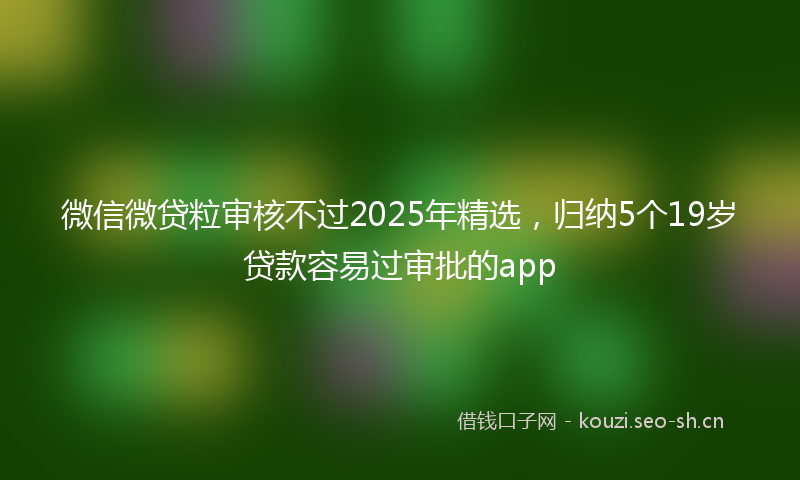 微信微贷粒审核不过2025年精选，归纳5个19岁贷款容易过审批的app