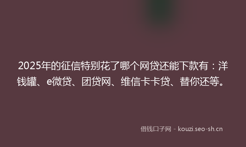 2025年的征信特别花了哪个网贷还能下款有：洋钱罐、e微贷、团贷网、维信卡卡贷、替你还等。