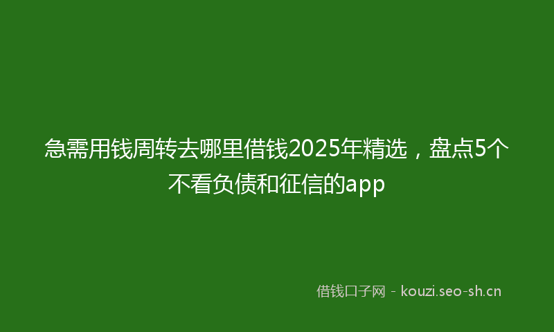 急需用钱周转去哪里借钱2025年精选，盘点5个不看负债和征信的app