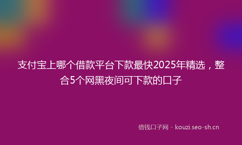 支付宝上哪个借款平台下款最快2025年精选，整合5个网黑夜间可下款的口子