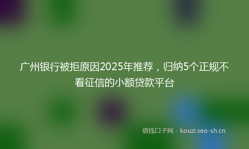 广州银行被拒原因2025年推荐，归纳5个正规不看征信的小额贷款平台