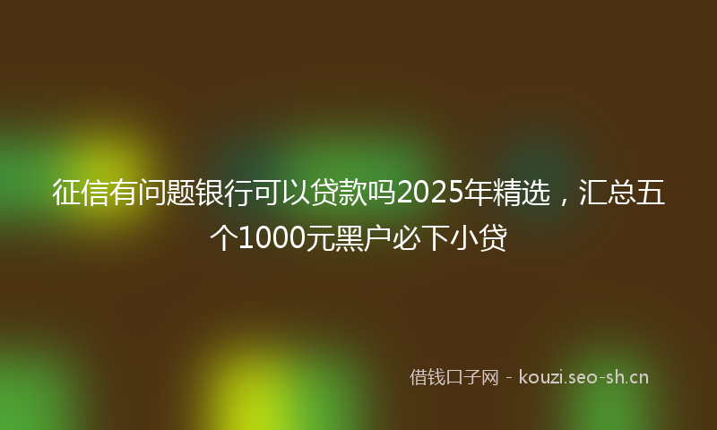 征信有问题银行可以贷款吗2025年精选，汇总五个1000元黑户必下小贷