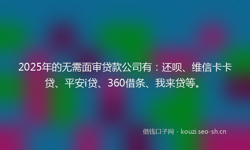 2025年的无需面审贷款公司有：还呗、维信卡卡贷、平安i贷、360借条、我来贷等。
