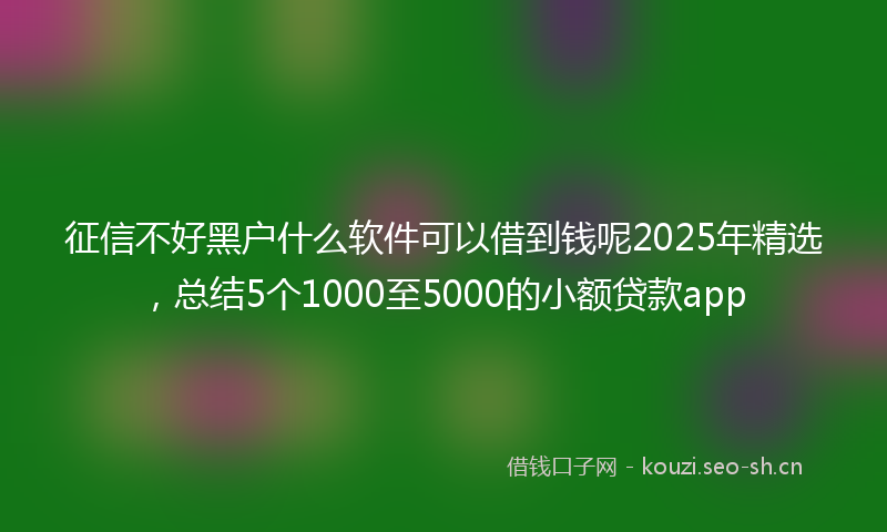 征信不好黑户什么软件可以借到钱呢2025年精选，总结5个1000至5000的小额贷款app