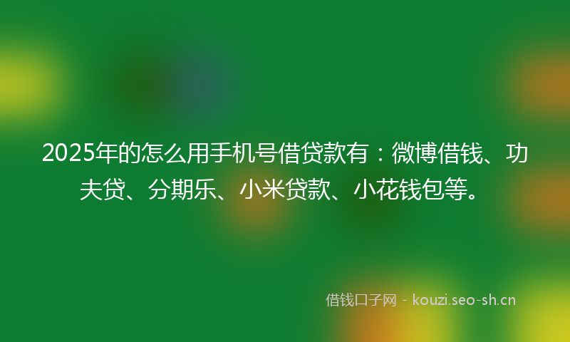 2025年的怎么用手机号借贷款有：微博借钱、功夫贷、分期乐、小米贷款、小花钱包等。