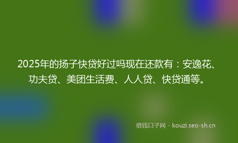 2025年的扬子快贷好过吗现在还款有：安逸花、功夫贷、美团生活费、人人贷、快贷通等。