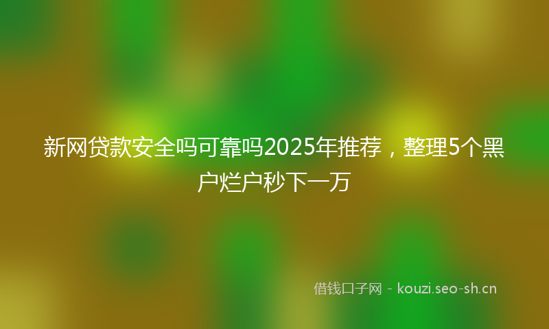 新网贷款安全吗可靠吗2025年推荐，整理5个黑户烂户秒下一万