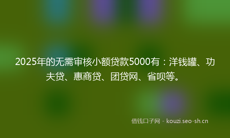 2025年的无需审核小额贷款5000有：洋钱罐、功夫贷、惠商贷、团贷网、省呗等。