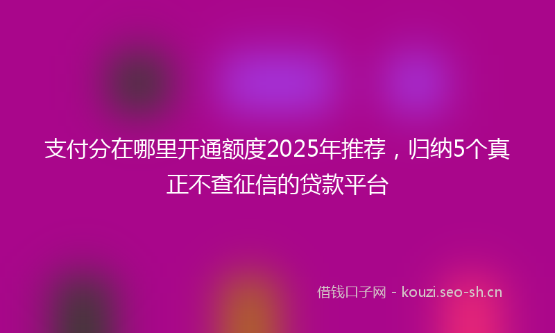 支付分在哪里开通额度2025年推荐，归纳5个真正不查征信的贷款平台