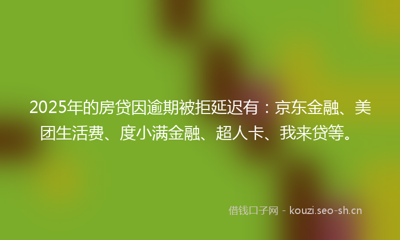 2025年的房贷因逾期被拒延迟有：京东金融、美团生活费、度小满金融、超人卡、我来贷等。