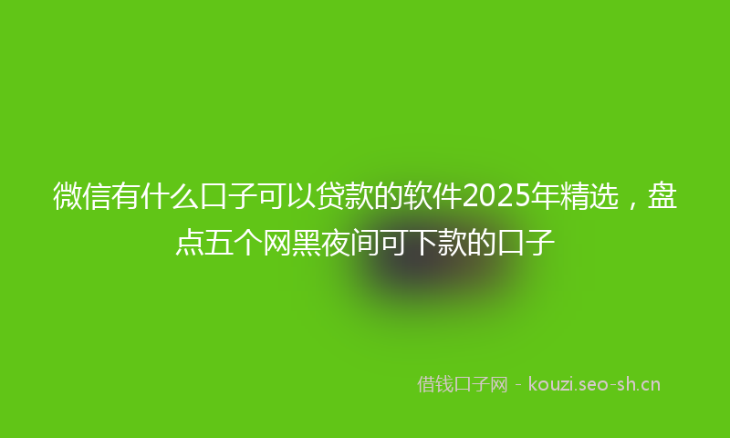 微信有什么口子可以贷款的软件2025年精选，盘点五个网黑夜间可下款的口子