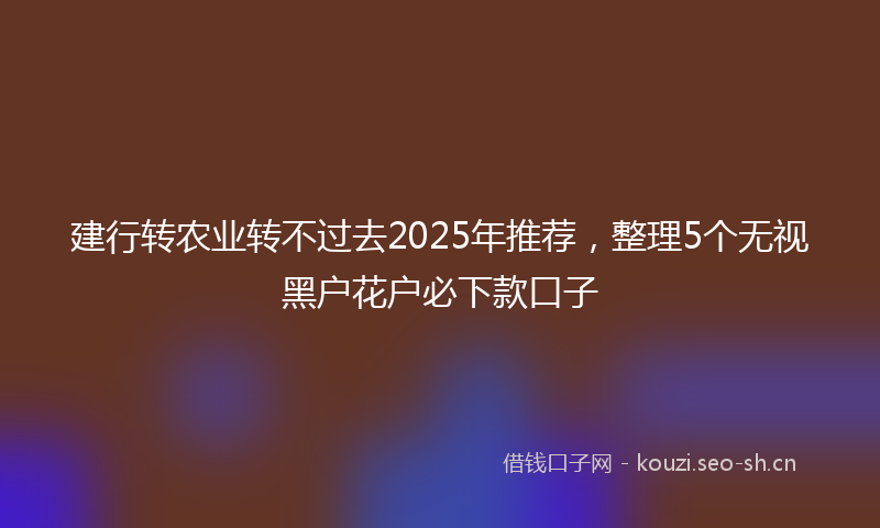 建行转农业转不过去2025年推荐，整理5个无视黑户花户必下款口子