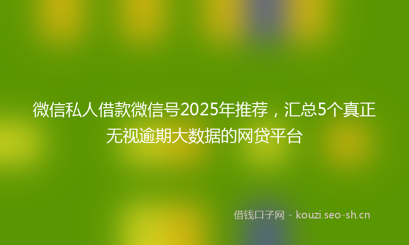 微信私人借款微信号2025年推荐，汇总5个真正无视逾期大数据的网贷平台
