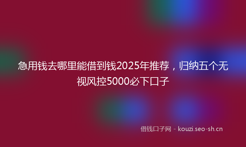 急用钱去哪里能借到钱2025年推荐，归纳五个无视风控5000必下口子