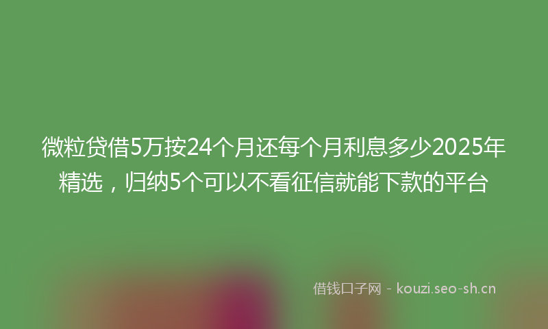 微粒贷借5万按24个月还每个月利息多少2025年精选，归纳5个可以不看征信就能下款的平台