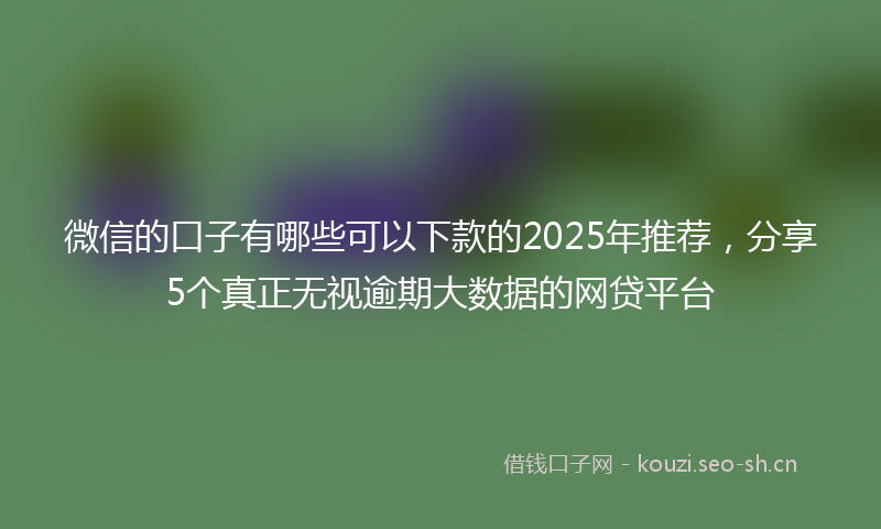 微信的口子有哪些可以下款的2025年推荐，分享5个真正无视逾期大数据的网贷平台
