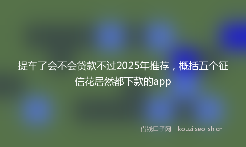 提车了会不会贷款不过2025年推荐，概括五个征信花居然都下款的app