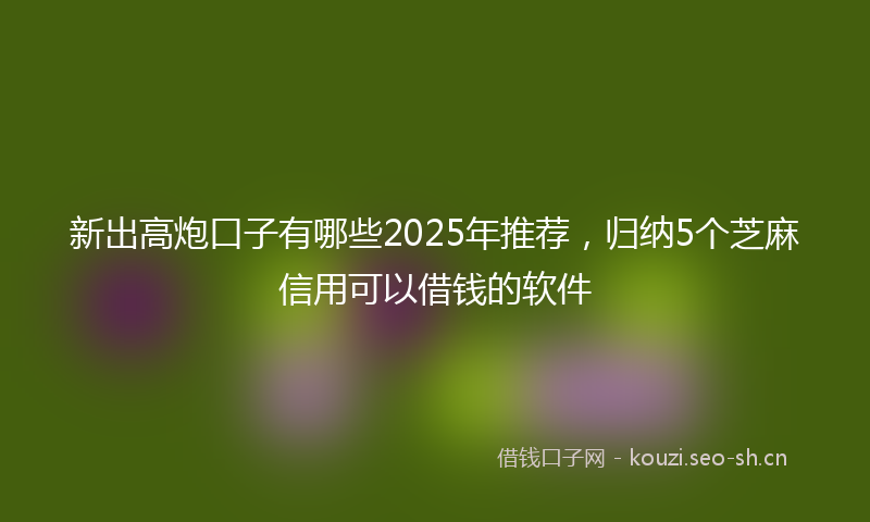 新出高炮口子有哪些2025年推荐，归纳5个芝麻信用可以借钱的软件
