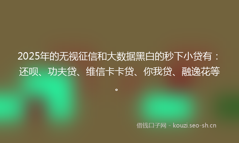 2025年的无视征信和大数据黑白的秒下小贷有：还呗、功夫贷、维信卡卡贷、你我贷、融逸花等。
