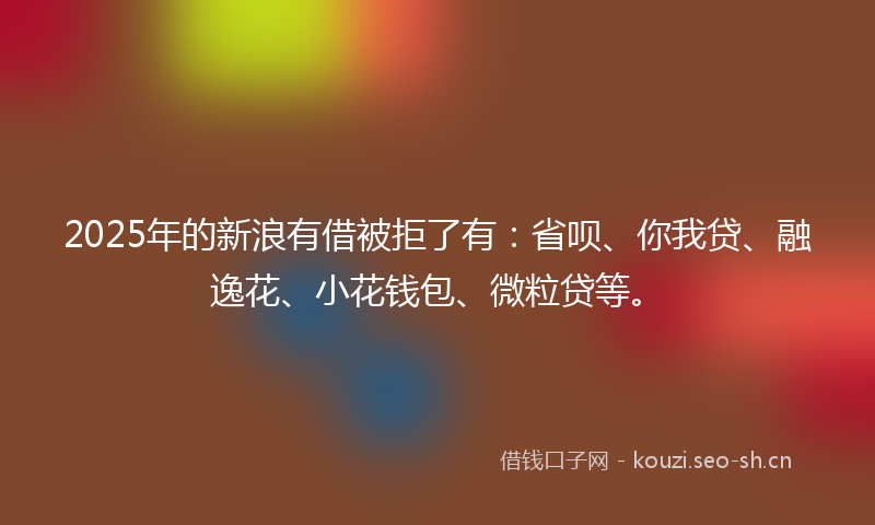 2025年的新浪有借被拒了有：省呗、你我贷、融逸花、小花钱包、微粒贷等。