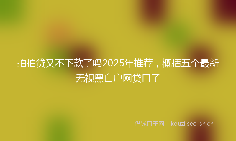拍拍贷又不下款了吗2025年推荐,概括五个最新无视黑白户网贷口子
