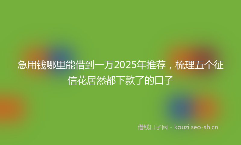 急用钱哪里能借到一万2025年推荐，梳理五个征信花居然都下款了的口子