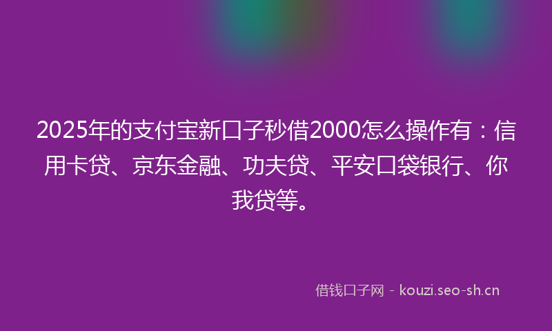 2025年的支付宝新口子秒借2000怎么操作有：信用卡贷、京东金融、功夫贷、平安口袋银行、你我贷等。