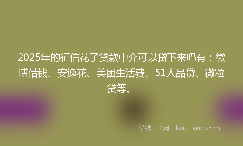 2025年的征信花了贷款中介可以贷下来吗有：微博借钱、安逸花、美团生活费、51人品贷、微粒贷等。