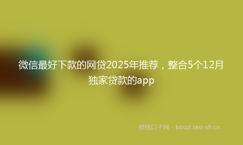 微信最好下款的网贷2025年推荐，整合5个12月独家贷款的app